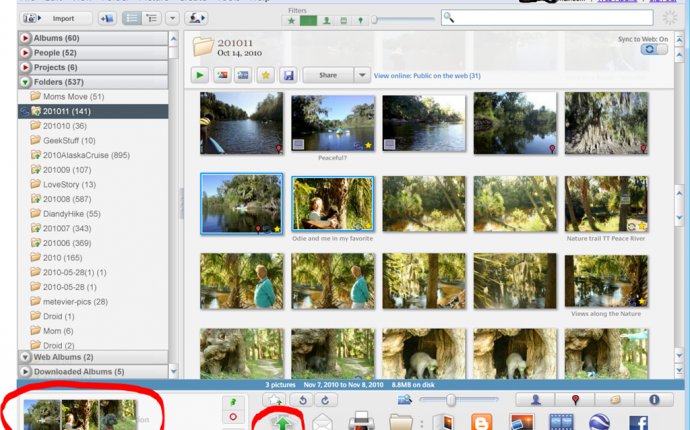 Picasa Web Albums Basics – Learn Picasa and Google Photos!
