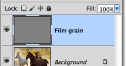 Новый слой Film grain над слоем Background Layer, в котором расположен оригинал