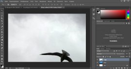 Перемещаем изображение с чайкой